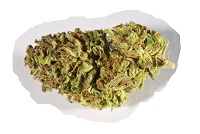 OMCA #2 Winner: Stinky Sweet (Tied for 2)