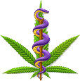 Eddy's Medicinal Gardens