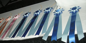 OMCA Ribbons